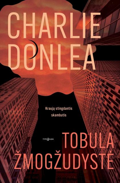 Charlie Donlea „Tobula žmogžudystė“